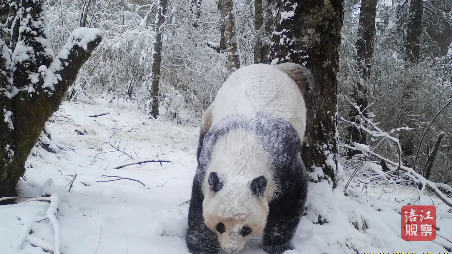 W020240105393208984983 (1).png