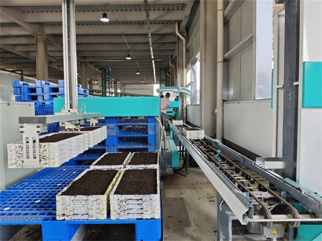 自動化高速育秧流水線正在制作秧盤.jpg